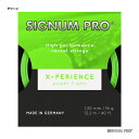 VOiv SIGNUM PRO ejXKbg P GNXyGXiX-PERIENCEj 130 O[ xperience130