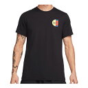 ナイキ NIKE テニスウェア メンズ コート COURT オープン HO23 S/S Tシャツ FN0788(010)