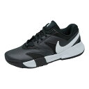 ナイキ NIKE テニスシューズ レディス コート ウィメンズ ライト 4 CLY FJ2318(001)