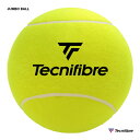 eNjt@Co[ Tecnifibre ANZT[ JUMBO BALL TFAA029