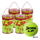 XN\ SRIXON ejX{[ LP Gs[imvbV[j30 1i4/120j