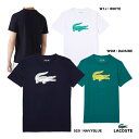 ラコステ LACOSTE テニスウェア メンズ コットンブレンドウルトラドライロゴプリントTシャツ TH2042L