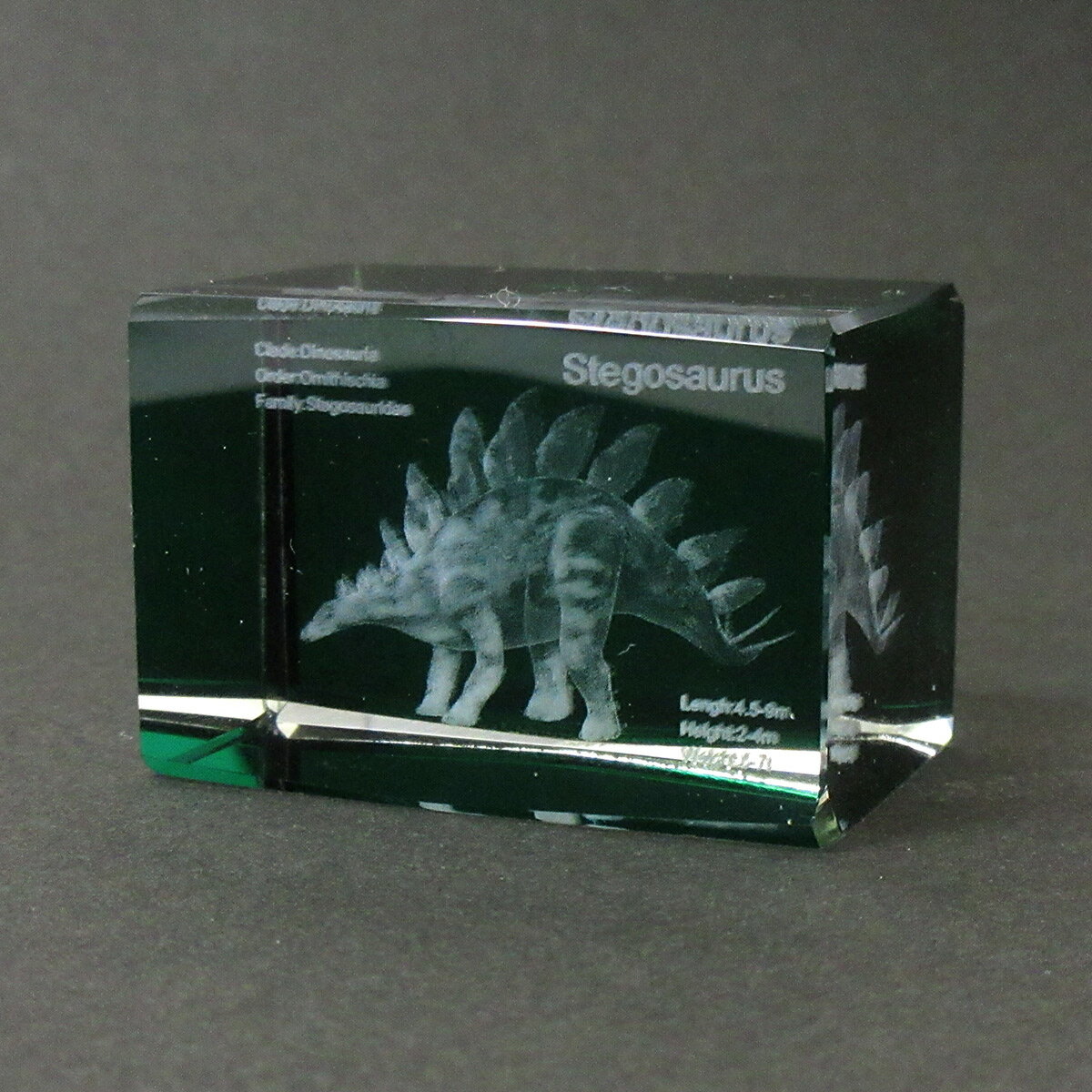 3Dクリスタル M ステゴサウルス グリーン ガラス オブジェ ペーパーウェイト 恐竜 誕生日 クリスマス プレゼント ギフト 120-689