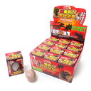 大発見 古代恐竜 12個入りBOX 体験 おもちゃ 誕生日 クリスマス プレゼント ギフト ラッピング可 206-633