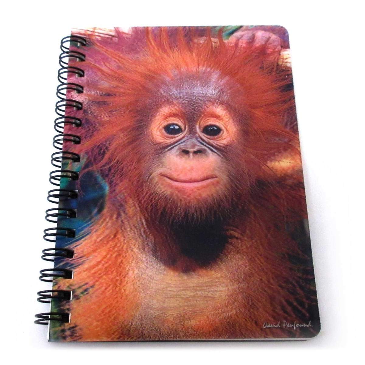 ノート 文房具 A6 メモ帳 オランウータン どうぶつ 3Dリングノート 誕生日 クリスマス プレゼント ギフ..