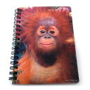ノート 文房具 A6 メモ帳 オランウータン どうぶつ 3Dリングノート 誕生日 クリスマス プレゼント ギフト 301-945