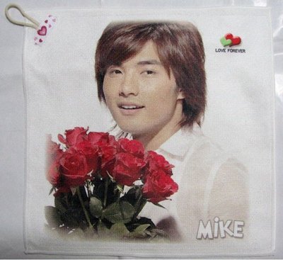 マイク・ハー(賀軍翔) 柄ハンドタオル(キッチンタオル兼用) 2