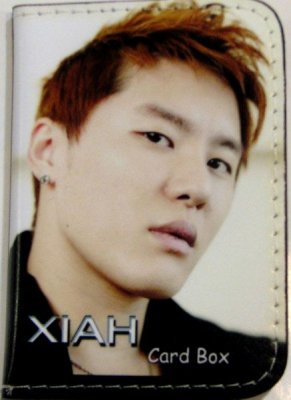 東方神起JUNSU（Xiah) カードケース柄11