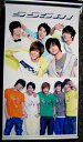 SS501 ロールスクリーン2(当店限定販売品)