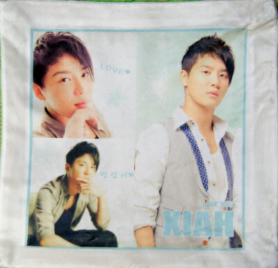 Other - 東方神起JUNSU（Xiah)ベロア調 ミニクッションカバー1