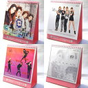 2NE1 2012年卓上カレンダー(ピンク)