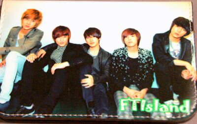 FTIsland カードケース柄3