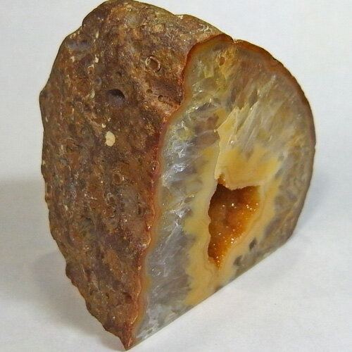 ドリームメノウ(カペーラ)297