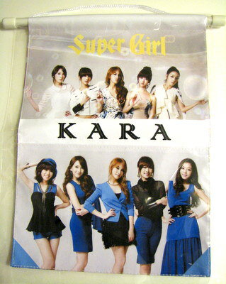 乐天商城 - KARA ミニ両面印刷タペストリー1 【28cm×20cm】