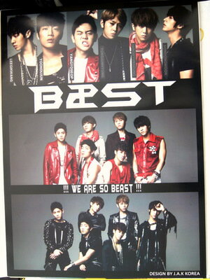 B2STBEAST ݥ45cm62cm