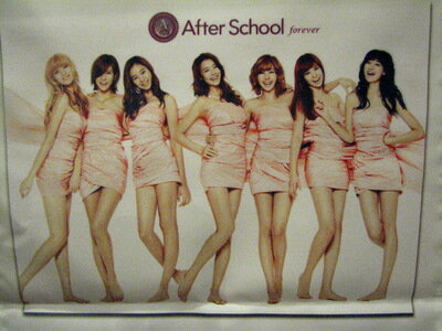 After School 大判のれん 大特価品