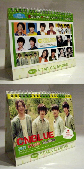 CNBLUE 2013ǯ��奫������(�ڹ���)