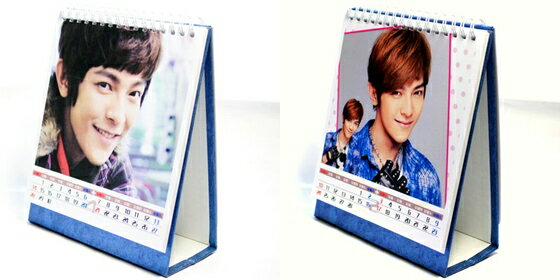 �ե������ϥ�(���س�)�����(�����������) 2013ǯ��奫������(�����)