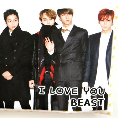 ビースト(BEAST B2ST) ポケットティッ