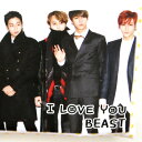 ビースト(BEAST B2ST) ポケットティッシュケース1 その1