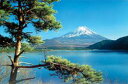 富士山/松 ポスター