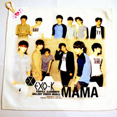EXO-K(エックソケー) ハンドタオル(キッチンタオル兼用) EXO-K(エックソケー) ハンドタオル(キッチンタオル兼用)