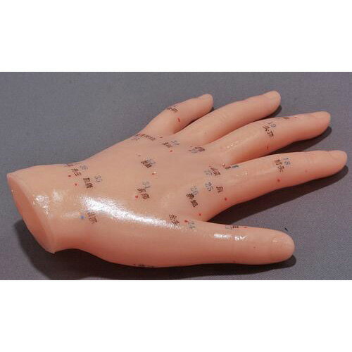 鍼灸 針灸 按摩 手ツボ 模型 日本語対訳付