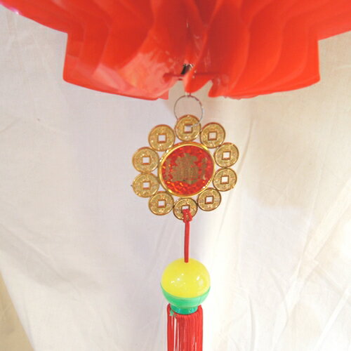 �ߤ뤷�ӥˡ����󥿥���ꡡ45cm��������