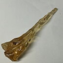 化石 マダガスカル産 虫入り コパル アンバー　iw160227a02