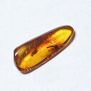 虫入り琥珀アンバーInsects in Amberリトアニア産Balttic Sea iw241212a23