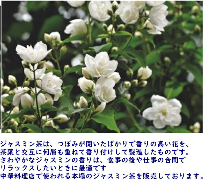 中国茶 ジャスミン茶 茉莉花茶 100gの紹介画像3