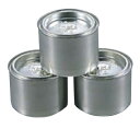 固形燃料 【固形燃料 100g 120入】 /業務用/新品/送料無料/テンポス