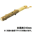 さんしょう すりこぎ棒 小/プロ用/新品 /小物送料対象商品