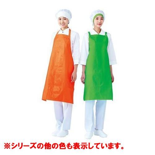 ʡɥ饤ץ ݤ E16102 ꡼/̳//ʪоݾ