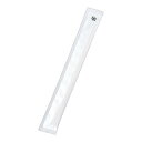 白楊8寸紙完封箸 無地柄 楊枝無 (1ケース4000膳入)/業務用/新品/送料無料