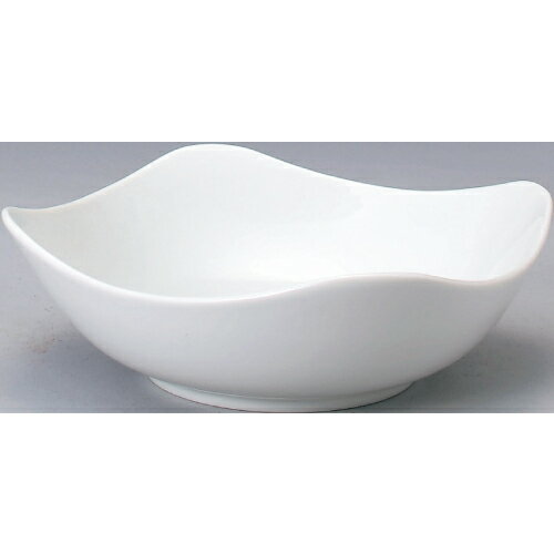 ボール 【スクエア白 22cmボール】 6-41-11 幅219mm×奥行219mm×高さ71mm 10個入 /業務用/新品【プロ用】 /テンポス/送料無料