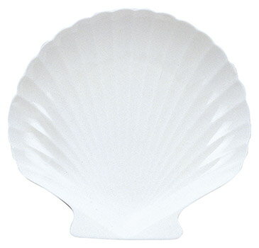 シェル9 1/2インチ大皿 ニューウェーブ 高さ38(mm)/業務用/新品 /テンポス