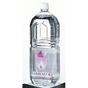 【レインボーオイル 2000ml クリア】オイル【業務用】【送料別】【プロ用】 /テンポス