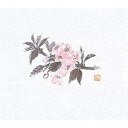 鮮度保持紙 (大) 桜 (100枚入) 縦16.5×横18.5(cm)/業務用/新品/小物送料対象商品