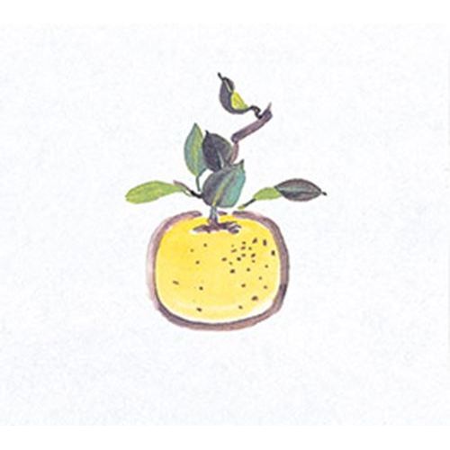 鮮度保持紙 (大) ゆず (100枚入) 縦16.5×横18.5(cm)/業務用/新品/小物送料対象商品