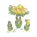 耐油懐敷 15角 福寿草(1000枚入)/業務用/新品/小物送料対象商品