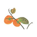 耐油懐敷 15角 柿(1000枚)/業務用/新品/小物送料対象商品