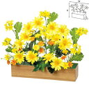 アルファ 菜の花アレンジプランター/プロ用/新品(3)