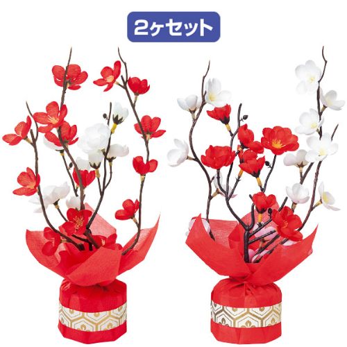 アルファ 紅白梅ラッピングセット/プロ用/新品