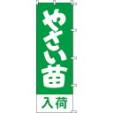 【のぼり「やさい苗入荷」】 幅600mm×高さ1800mm/業務用/新品/送料別/テンポス