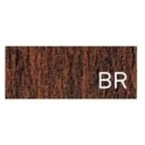 業務用椅子【プロシード】ザップイスBR 11463-A 幅500×奥行510×高さ740 シート高450(mm)/業務用/新品/送料無料 [3]