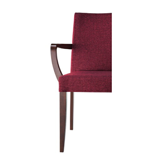 業務用椅子【プロシード】ベジェアームイスNAD 11668-A 幅555×奥行555×高さ855 シート高450(mm)/業務用/新品/送料無料 [3]