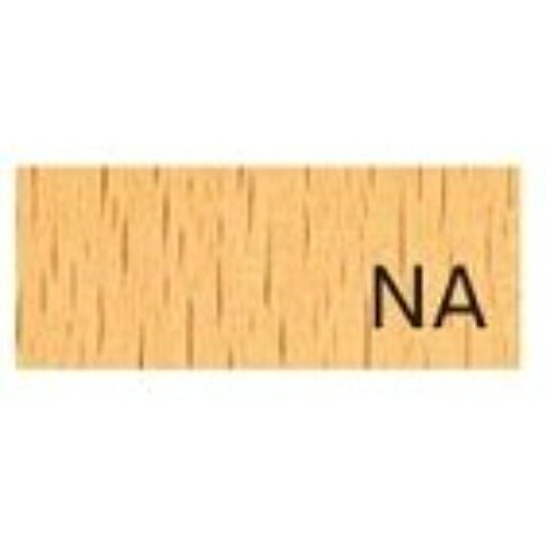 業務用椅子【プロシード】ロリイスNA(ベルト付) 11751-A 幅445×奥行460×高さ730 シート高480(mm)/業務用/新品/送料無料 [3]