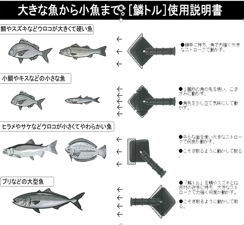 【送料無料】【TKG】ウロコ取り器 鱗トル S PU-002/9-0529-1102/業務用/新品 2