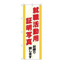 P.O.Pプロダクツ ☆G_のぼり GNB-245 就職活動用 証明写真新品/小物送料対象商品/テンポス(3)